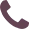 phone icon