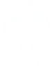 showcase icon